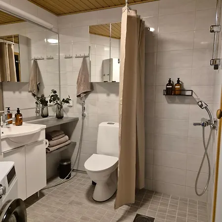公寓 - Sauna - Modern Design 罗瓦涅米