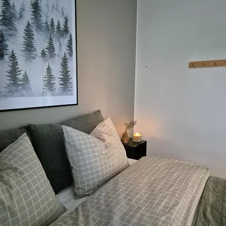 - Sauna - Modern Design 罗瓦涅米